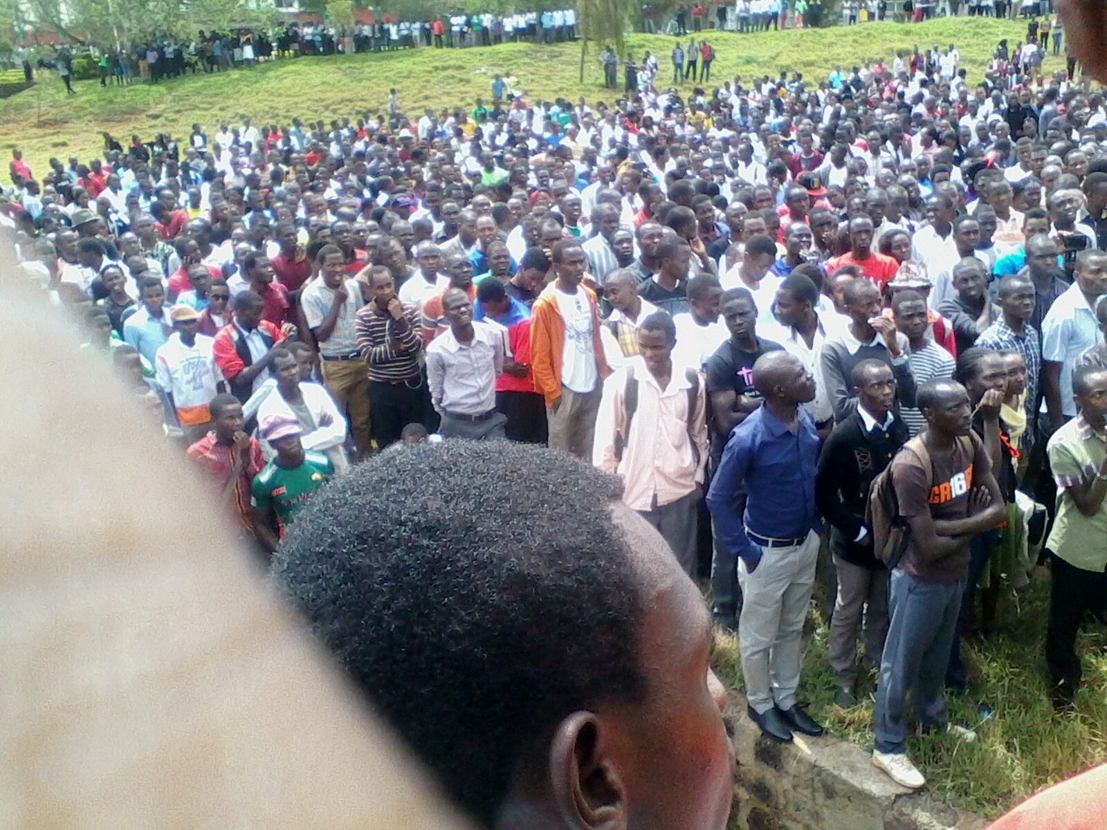 Moi university