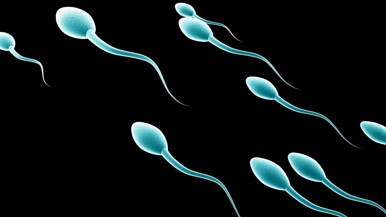 Sperm. In Kenya, donors are paid about Ksh10,000 per donation. www.businesstoday.co.ke