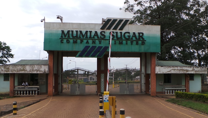 Mumias Sugar factory and headquarters.