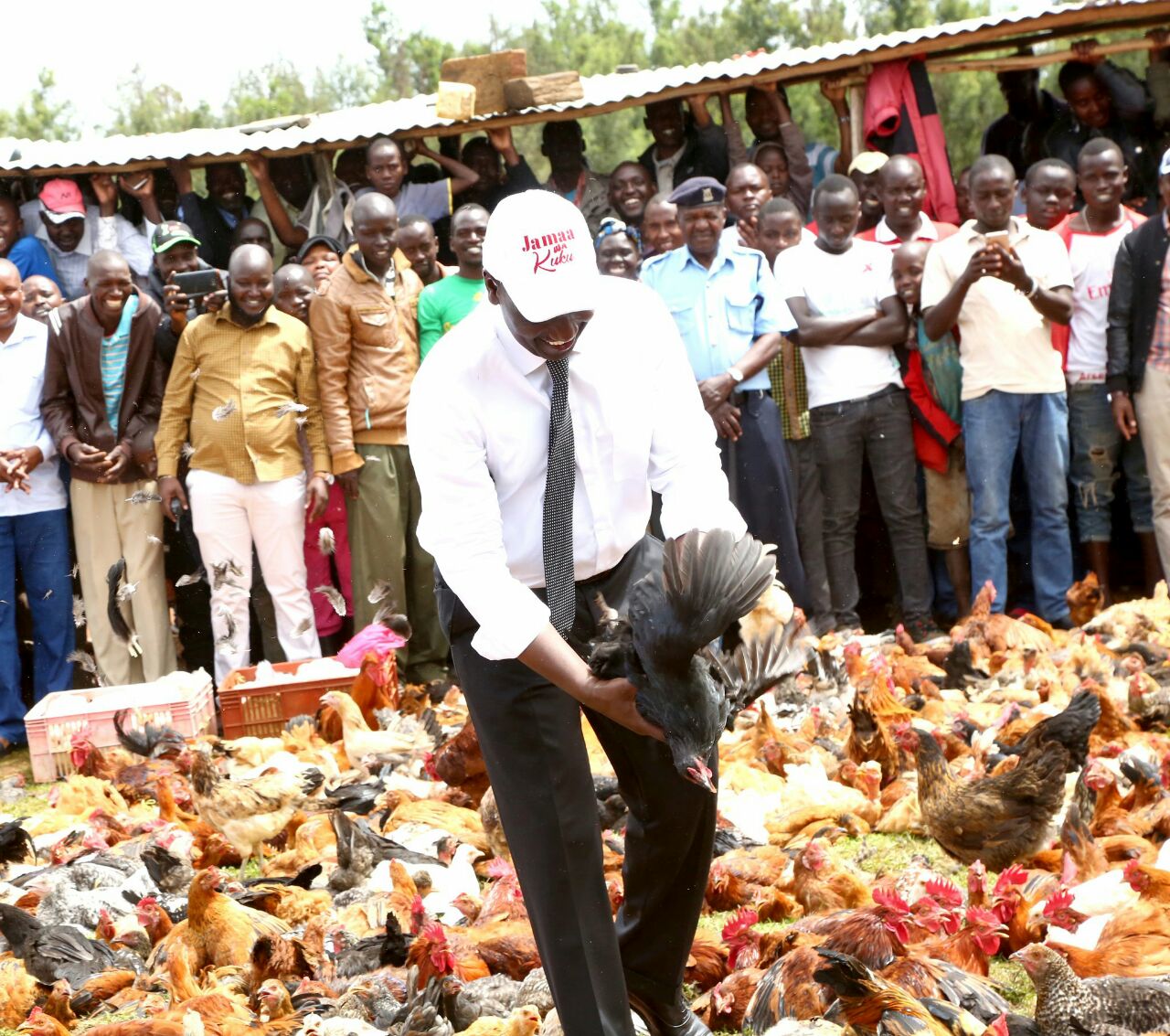 Image result for dp ruto's chicken