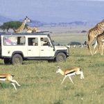 Tourists viewing the wildlife www.businesstoday.co.ke