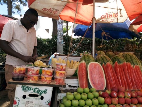 fruit vending business plan in kenya