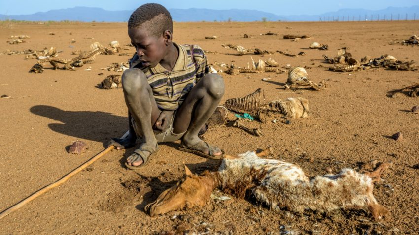 Kenyans die as drought and hunger ravages 13 counties - Business Today