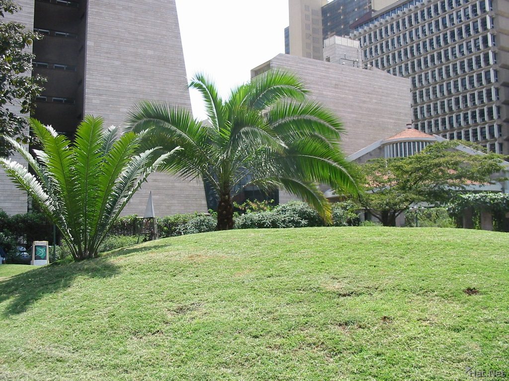 The August 7th Memorial Park is a green space within the CBD. www.businesstoday.co.ke