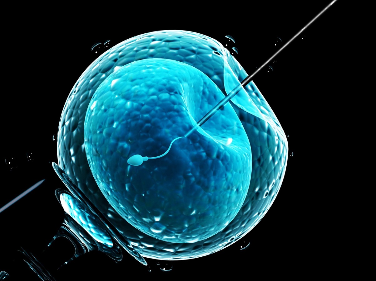 IVF is one of the ways couples can use for assisted conception. Infertility is the inability to become pregnant after 12 months of regular unprotected sex and the WHO classifies it a disease. www.businesstoday.co.ke