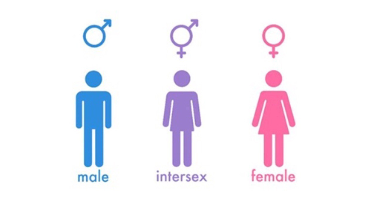 Intersex gender will be up for consideration during the Kenya national census in 2019 and may prove beneficial in the long run. www.businesstoday.co.ke