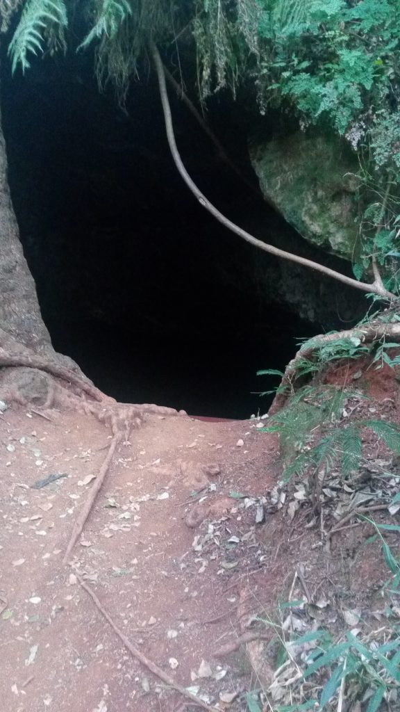 A cave at Karura Forest. It is one of the largest gazetted forests in the world. www.businesstoday.co.ke