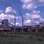 Mumias Sugar Shares www.businesstoday.co.ke