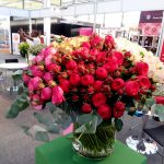 Kenya Plant Health Inspectorate Service says it continues to build capacity of inspectors and quality assurance officers at the growers’ premises since the False Codling Moth pest is not easy to detect on roses. www.businesstoday.co.ke