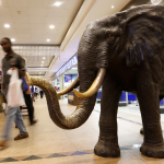 Nakumatt auctioned www.businesstoday.co.ke