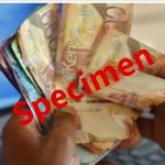 An individual counting Kenyan currency