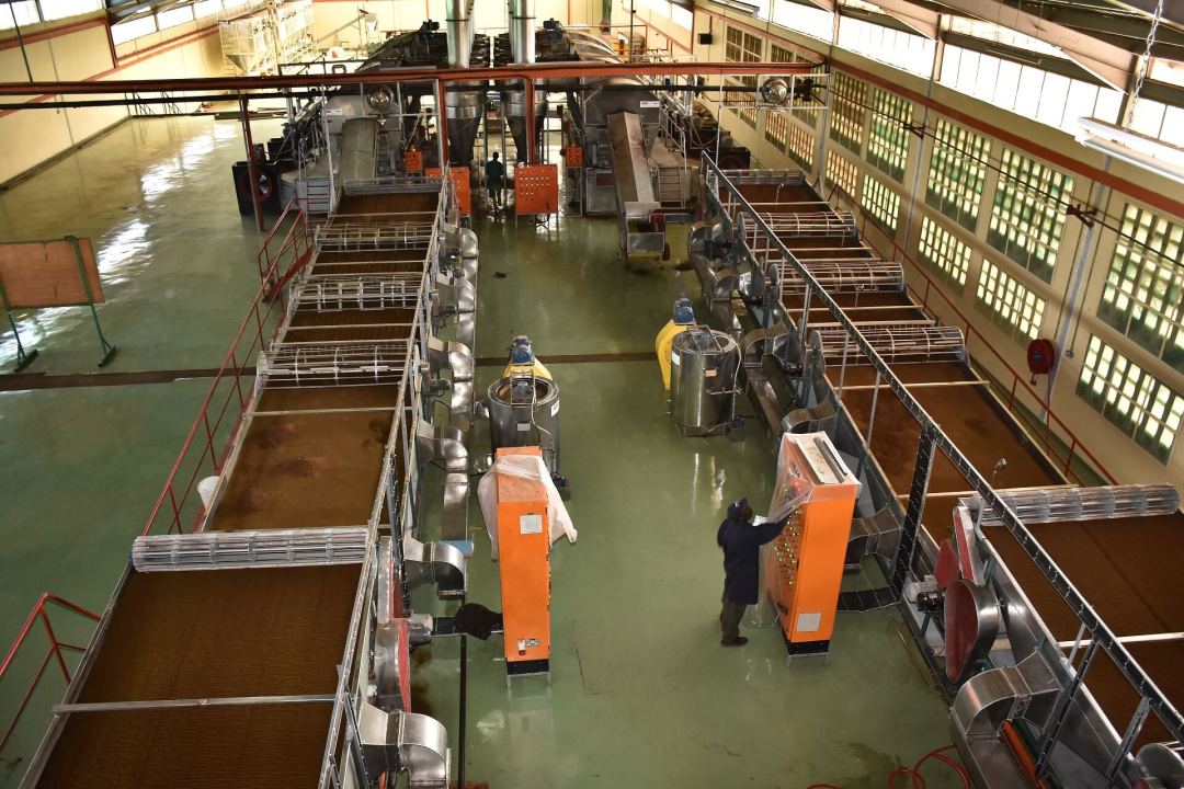 Inside a KTDA-managed tea factory