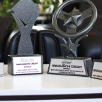 Mwananchi logbook loans