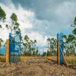 best real estate companies in Kenya