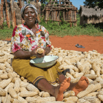 Agriculture and Food Authority of KENYA - AFA