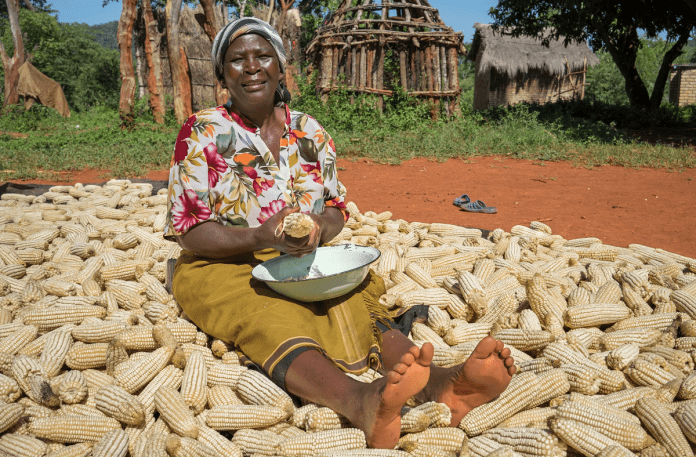 Agriculture and Food Authority of KENYA - AFA Agriculture and Food Authority of KENYA - AFA