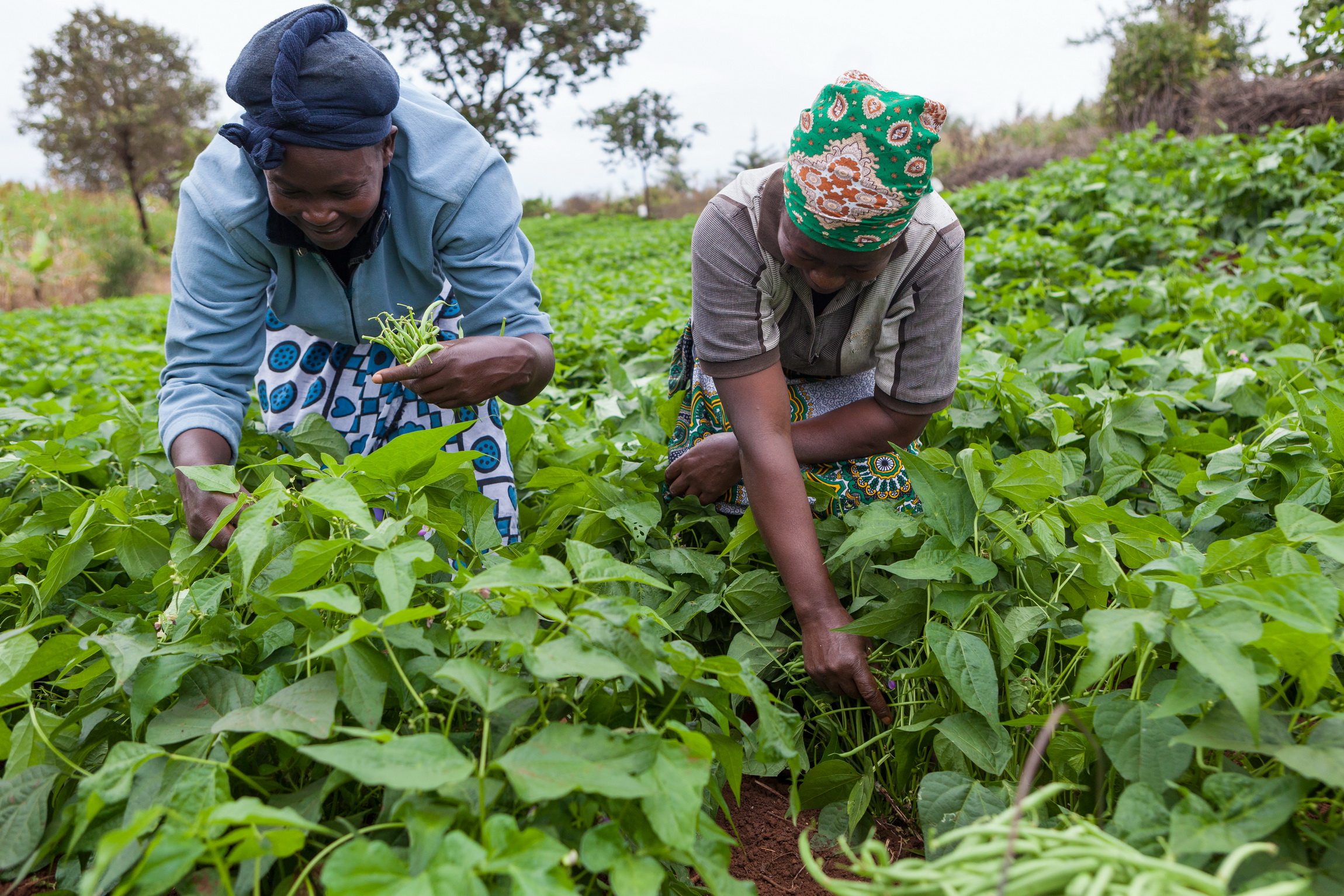 The unique global competition will invite small and medium-sized businesses to showcase innovative ways to sustainably deliver good food and livelihoods for all.