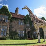 A giraffe outside Giraffe Manor in Nairobi. It has become a staple on many of the world's biggest luxury and travel pages - proving a hit with global influencers and social media stars. [Photo/ Micato Safaris]