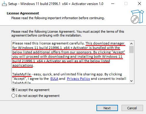 An example of a fake Windows 11 installer