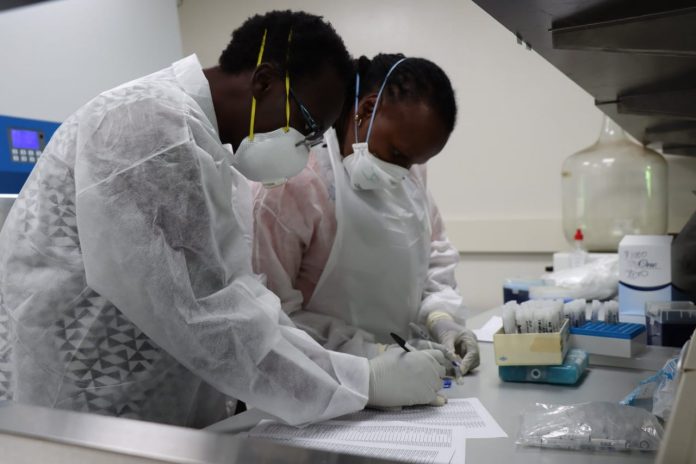 KEMRI scientists at work. The institute's researchers together with the University of Washington are behind the new single-dose HPV vaccine. [Photo/ KEMRI]