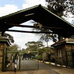 Kenya Wildlife Service jobs