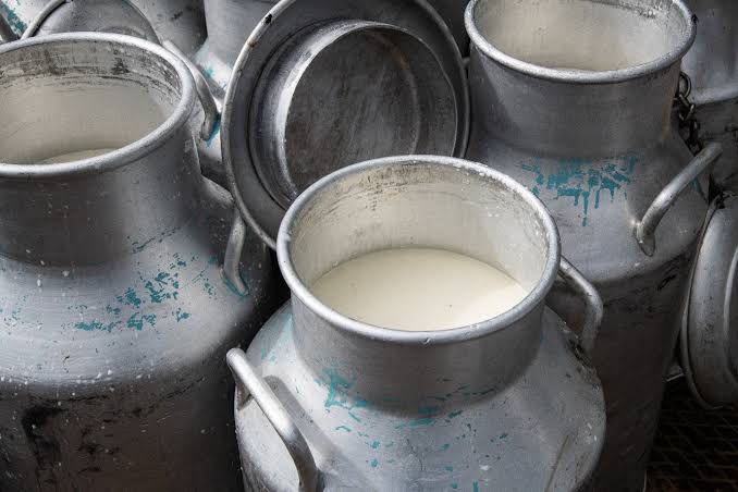 Milk Shortage Hits Supermarket Shelves in Kenya - Business Today Kenya