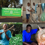 The school runs its own farm and produces much of its own food. [Photo/ BT Edit]