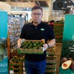 Halls Fresh Produce China Executive Mr Lifan Yu displays a Kakuzi premium Hass Avocados carton at the Shanghai Huizhan Fruit and Vegetable Market .