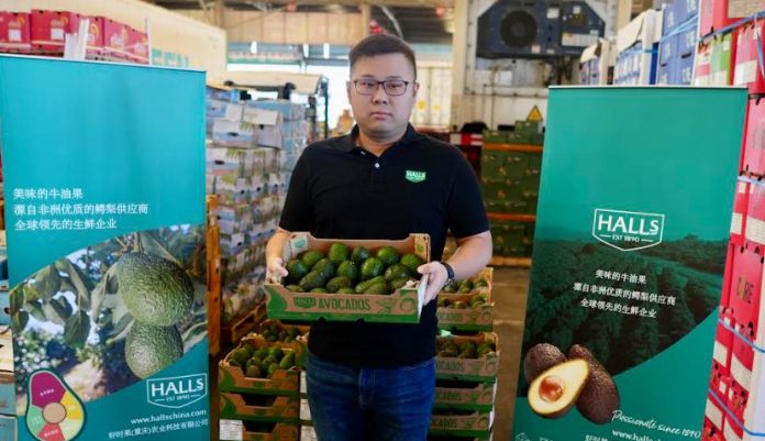 Halls Fresh Produce China Executive Mr Lifan Yu displays a Kakuzi premium Hass Avocados carton at the Shanghai Huizhan Fruit and Vegetable Market .