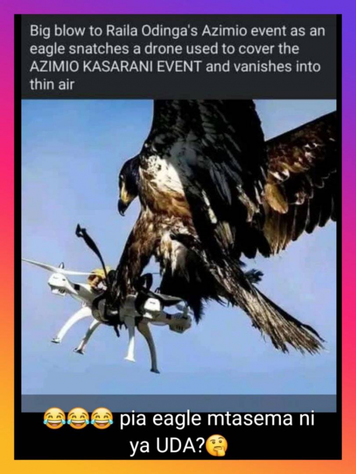 eagle takes drone