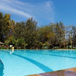 The swimming pool at Fred's Ranch. Photo/ Fred's Ranch]