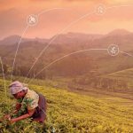 2022 Absa Africa Financial Markets Index