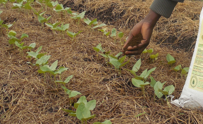 ABUJA DECLARATION ON FERTILIZER FOR THE AFRICAN GREEN REVOLUTION