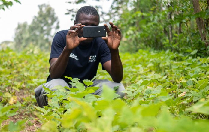 Photos of farmers’ crops are used to evaluate their insurance claims