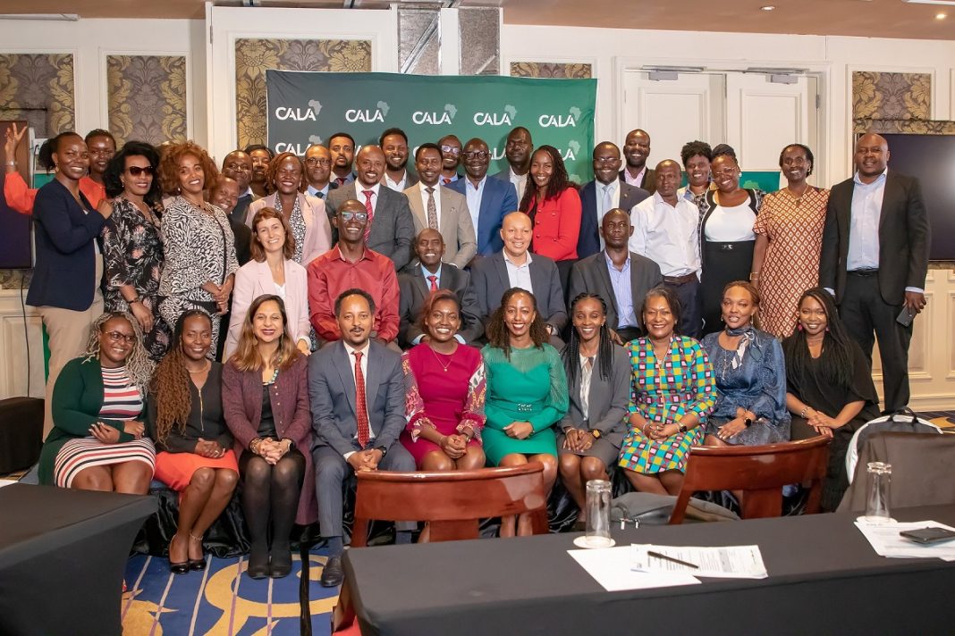 Advanced Leadership Programme of AGRA Centre for African Leaders in Agriculture