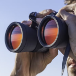 Best Investment for 2023