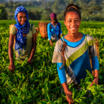 Women Agripreneurs of the Year Awards