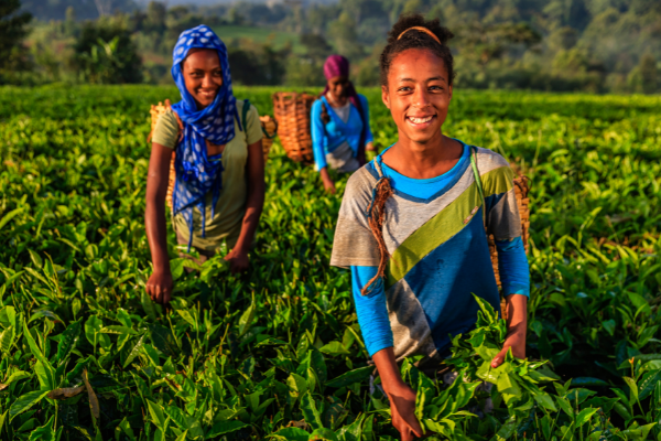 Women Agripreneurs of the Year Awards