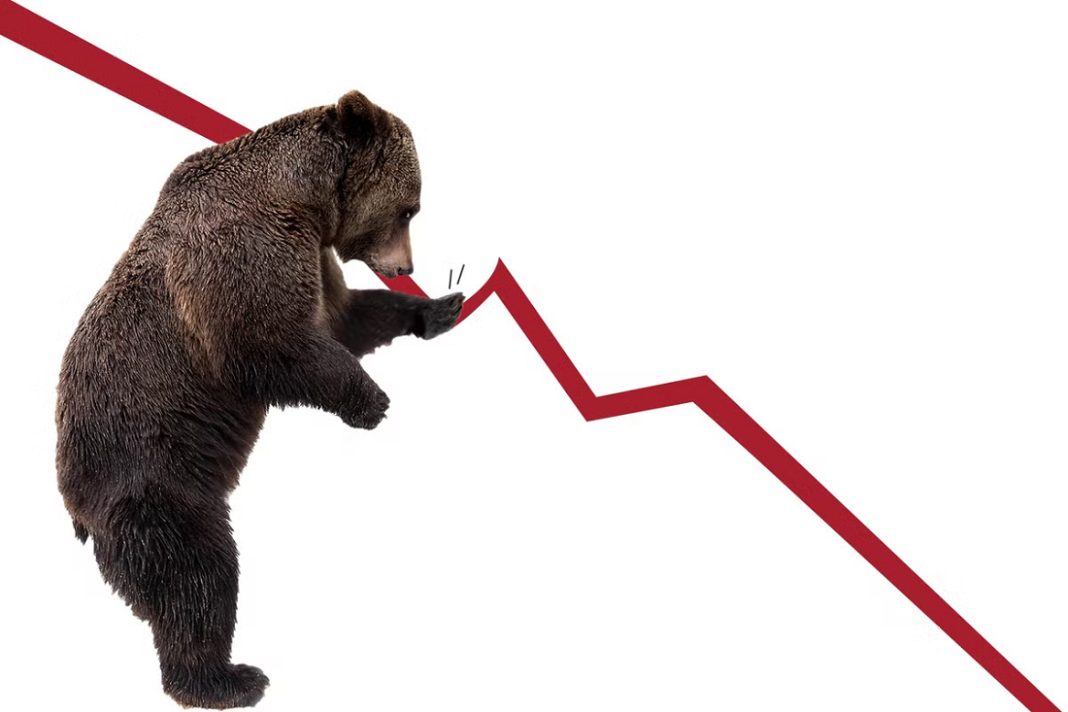 Can you make money in a bear market