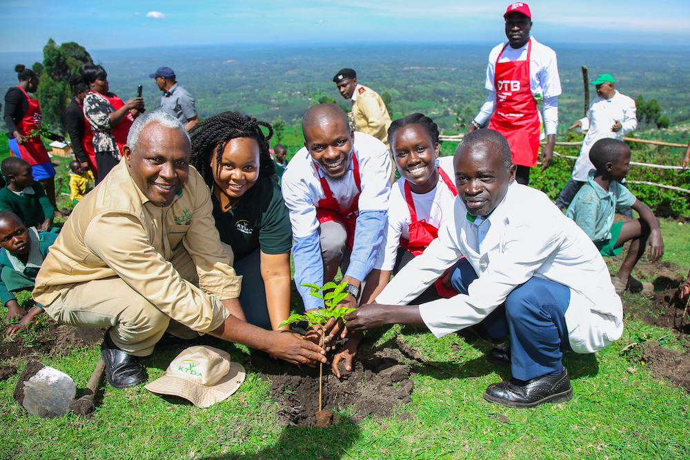 DTB Plants trees