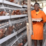 Poultry farming in Kenya