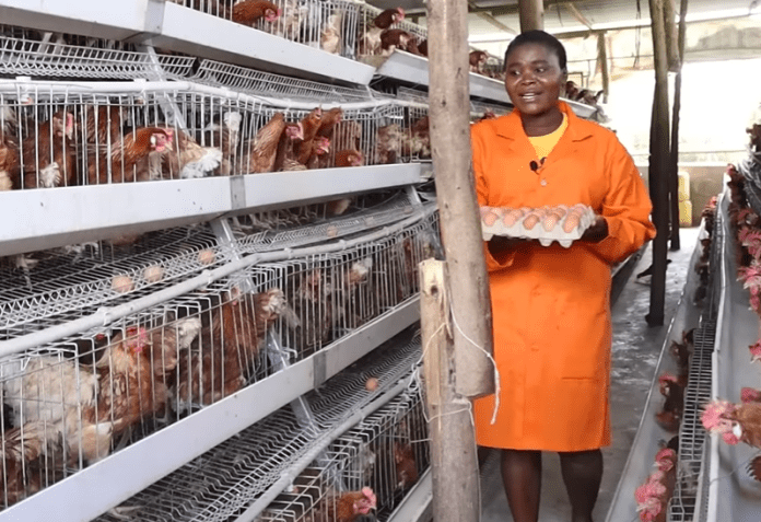 Poultry farming in Kenya