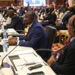 Shelter-Afrique changes to development bank -3