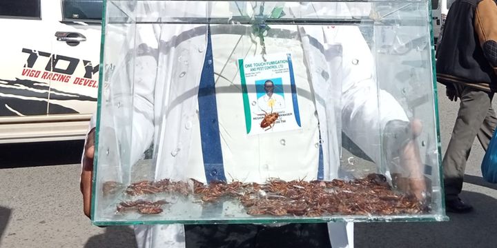 One Touch Cockroach killer