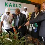 How to Invest in Kakuzi Shares