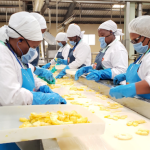 Del Monte Kenya biofertilizer plant 002