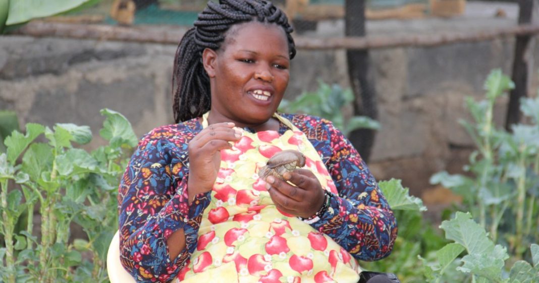 snail farmer in kenya