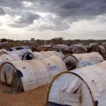 Fourfold Increase in the Number of Asylum Seekers in Kenya, Figures Show