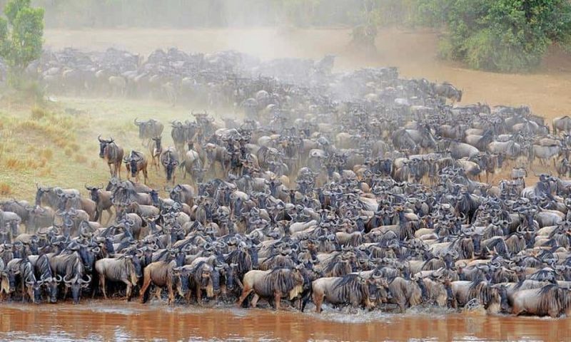 Maasai mara distance from Nairobi