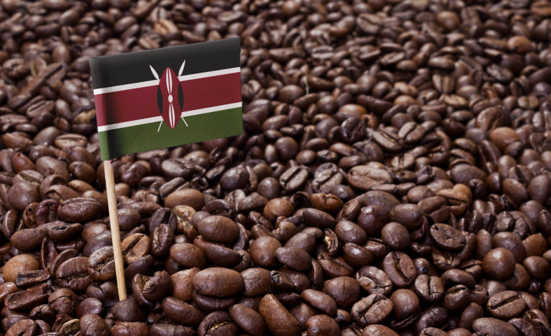 What Is This European Union Coffee Regulation Seeking to Ban Kenya’s Coffee From EU Market?